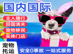 三家子机场快递国际宠物托运 【国